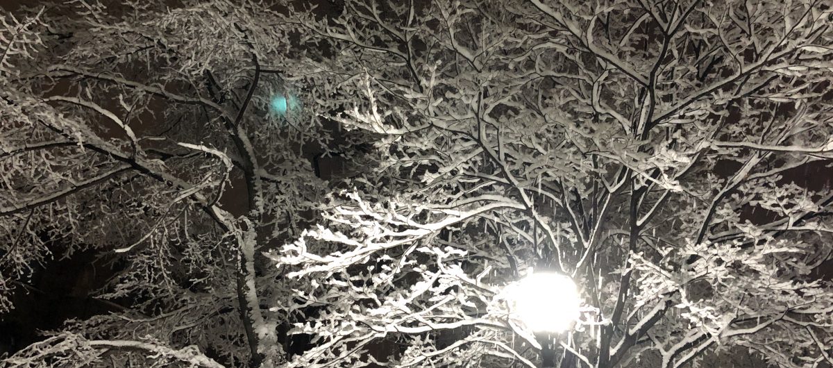 藤井 宏之 (北海道大学) のページ